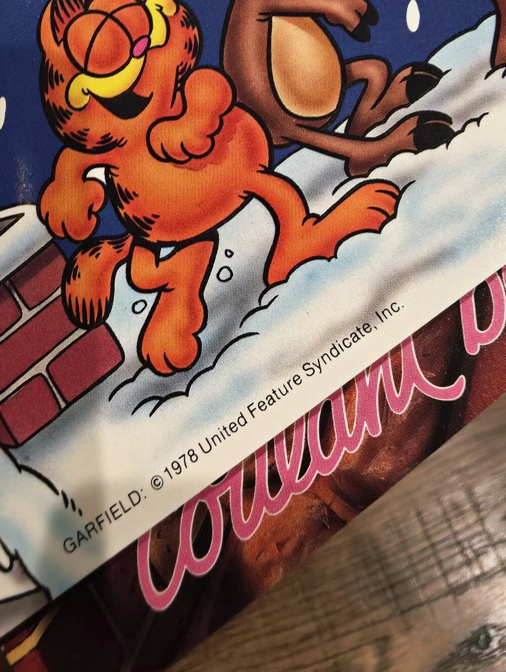 Garfield set themed